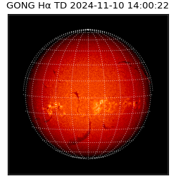 gong - 2024-11-10T14:00:22
