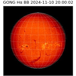 gong - 2024-11-10T20:00:02