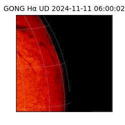 gong - 2024-11-11T06:00:02