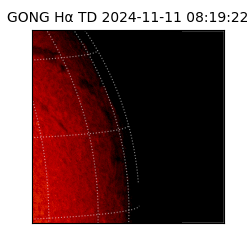 gong - 2024-11-11T08:19:22