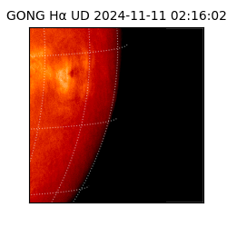 gong - 2024-11-11T02:16:02