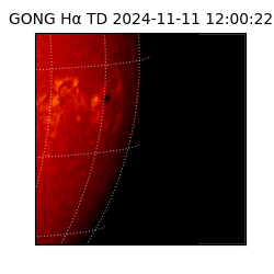 gong - 2024-11-11T12:00:22