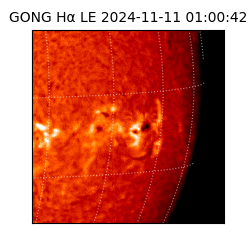 gong - 2024-11-11T01:00:42