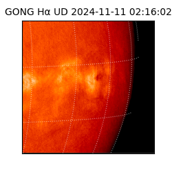 gong - 2024-11-11T02:16:02