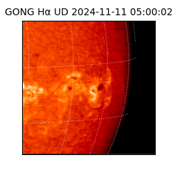 gong - 2024-11-11T05:00:02