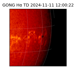 gong - 2024-11-11T12:00:22