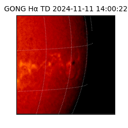 gong - 2024-11-11T14:00:22