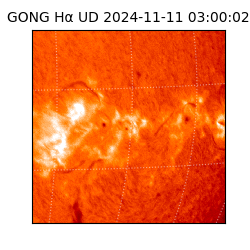gong - 2024-11-11T03:00:02