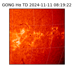 gong - 2024-11-11T08:19:22