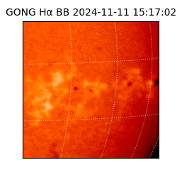 gong - 2024-11-11T15:17:02
