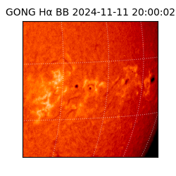 gong - 2024-11-11T20:00:02