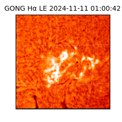 gong - 2024-11-11T01:00:42