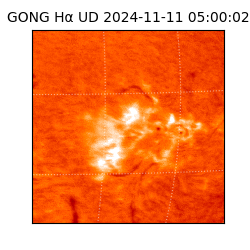 gong - 2024-11-11T05:00:02