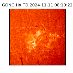 gong - 2024-11-11T08:19:22