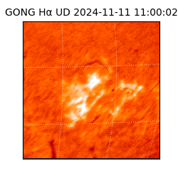 gong - 2024-11-11T11:00:02