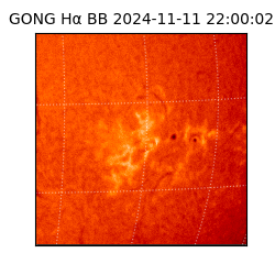 gong - 2024-11-11T22:00:02