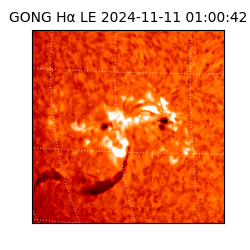 gong - 2024-11-11T01:00:42