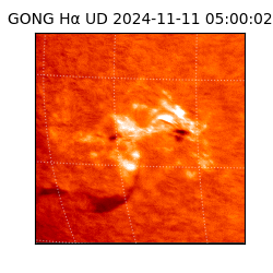 gong - 2024-11-11T05:00:02