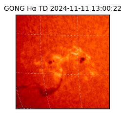 gong - 2024-11-11T13:00:22
