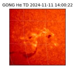 gong - 2024-11-11T14:00:22