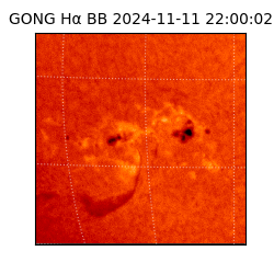 gong - 2024-11-11T22:00:02