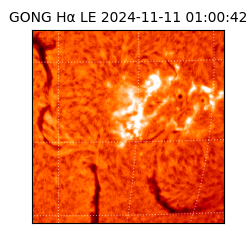 gong - 2024-11-11T01:00:42