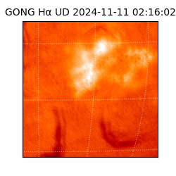gong - 2024-11-11T02:16:02
