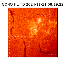 gong - 2024-11-11T08:19:22