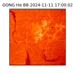 gong - 2024-11-11T17:00:02