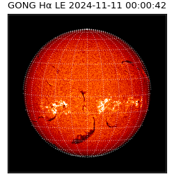 gong - 2024-11-11T00:00:42