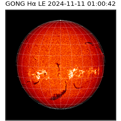 gong - 2024-11-11T01:00:42