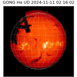 gong - 2024-11-11T02:16:02