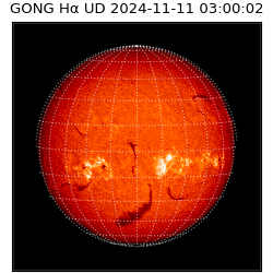 gong - 2024-11-11T03:00:02
