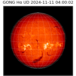 gong - 2024-11-11T04:00:02