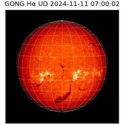 gong - 2024-11-11T07:00:02
