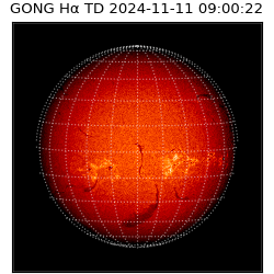 gong - 2024-11-11T09:00:22