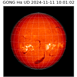 gong - 2024-11-11T10:01:02