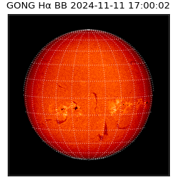 gong - 2024-11-11T17:00:02