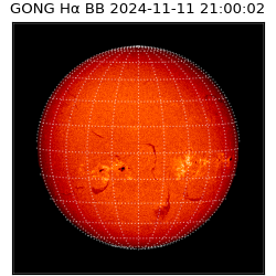 gong - 2024-11-11T21:00:02