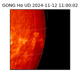gong - 2024-11-12T11:00:02