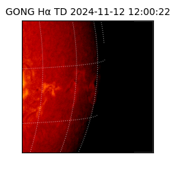 gong - 2024-11-12T12:00:22
