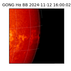 gong - 2024-11-12T16:00:02