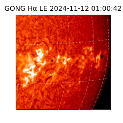 gong - 2024-11-12T01:00:42