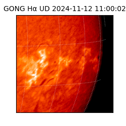 gong - 2024-11-12T11:00:02