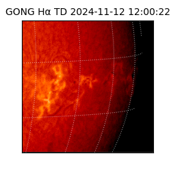 gong - 2024-11-12T12:00:22