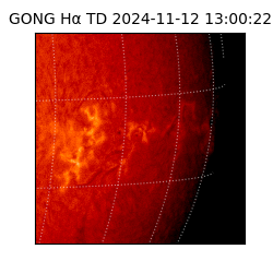 gong - 2024-11-12T13:00:22