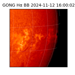 gong - 2024-11-12T16:00:02