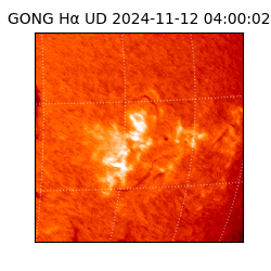 gong - 2024-11-12T04:00:02