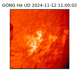 gong - 2024-11-12T11:00:02