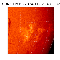 gong - 2024-11-12T16:00:02